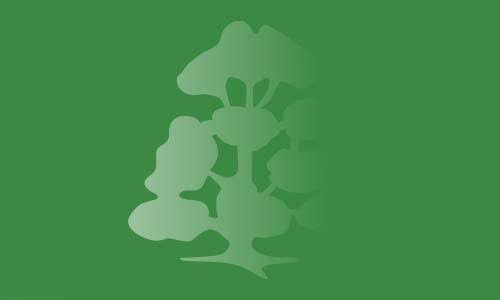 Rodillian Academy crest