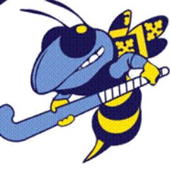 Braintree HC W5 crest