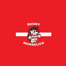 Monselice crest
