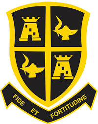Newcastle (RSA) crest