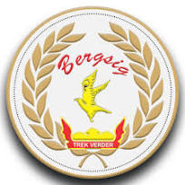 Bergsig Academy crest