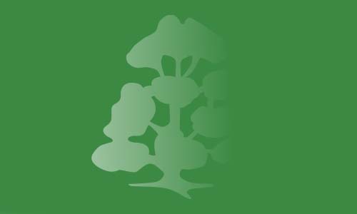 Rodillian Academy crest