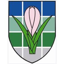 Saffron Walden crest