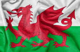 Wales Country XV crest