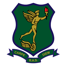 Bultfontein crest