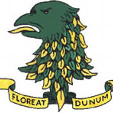 Down High School crest