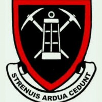 Dundee crest