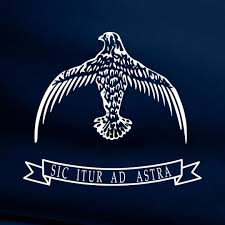 Falcon crest
